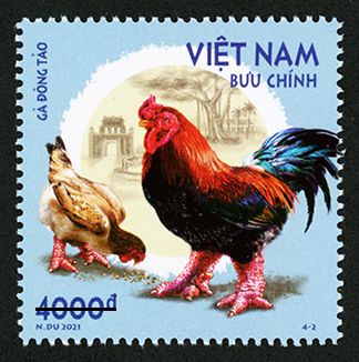 Mẫu tem 4-2 giới thiệu gà Đông Tảo, còn được gọi là gà Đông Cảo, cũng là một giống gà đặc hữu và quý hiếm của Việt Nam. (Nguồn ảnh: nguoilambao.vn)